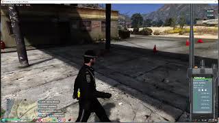 Sunny Valley RP I Getting Started with the CAD and Radio