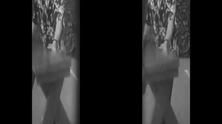 Ray Zone 16mm 3 D footage sbs