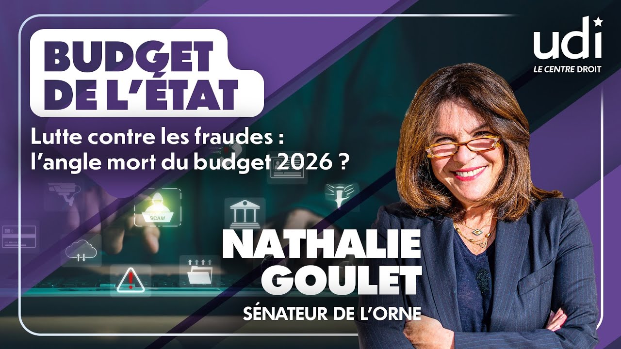 Nathalie Goulet, Sénateur de l'Orne : Lutte contre les fraudes : l’angle mort du budget 2026 ?