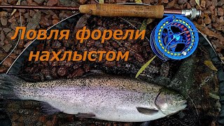 Ловля форели нахлыстом
