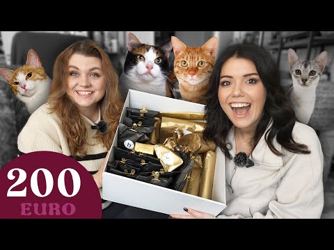 Wir testen einen KATZEN Adventskalender! (mit Katzen)