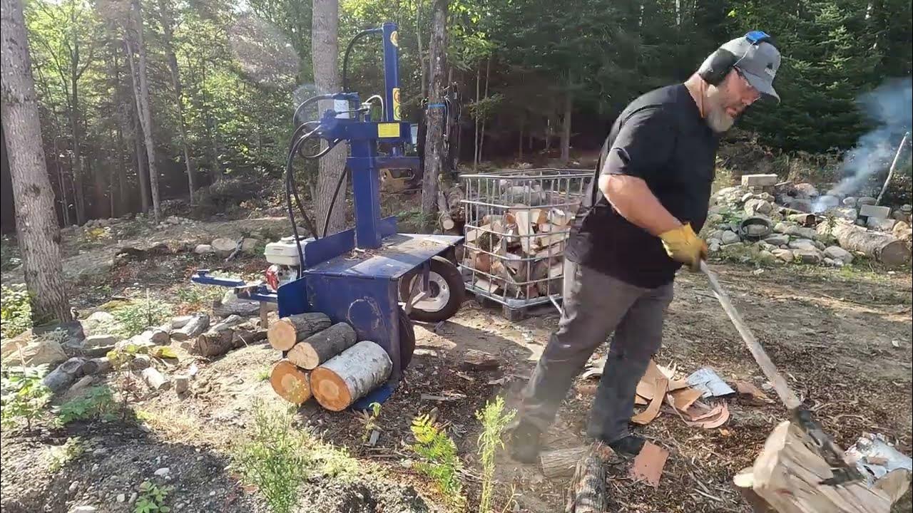 une pile de bois de chauffage sur une Chariot cette volonté être