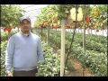 برنامج مواسم الخير - زراعة الفراولة ... طرق وأساليب زراعة الفراولة