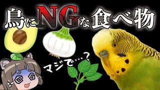 鳥やインコに食べさせてはいけない食べ物・危険な日用品…