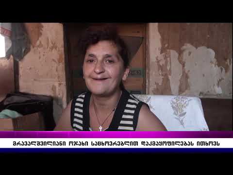 მრავალშვილიანი ოჯახი საცხოვრებლით დაკმაყოფილებას ითხოვს