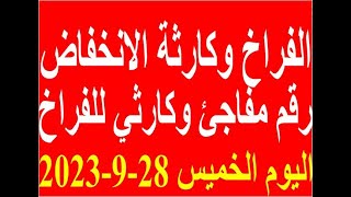 أسعار الفراخ اليوم | سعر الفراخ البيضاء اليوم الخميس 28-9-2023 جمله وقطاعي