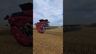 Case IH AF10  #agrartechnik #landtechnik #caseih #macdon #combineharvester