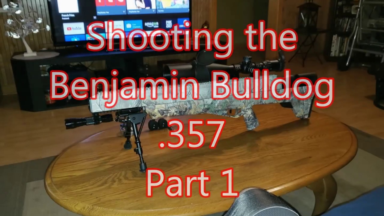 Backyard Shooting with the Benjamin Bulldog .357 - YouTube
