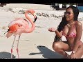 A FLAMINGO BIT ME!! | AALIYAHJAY