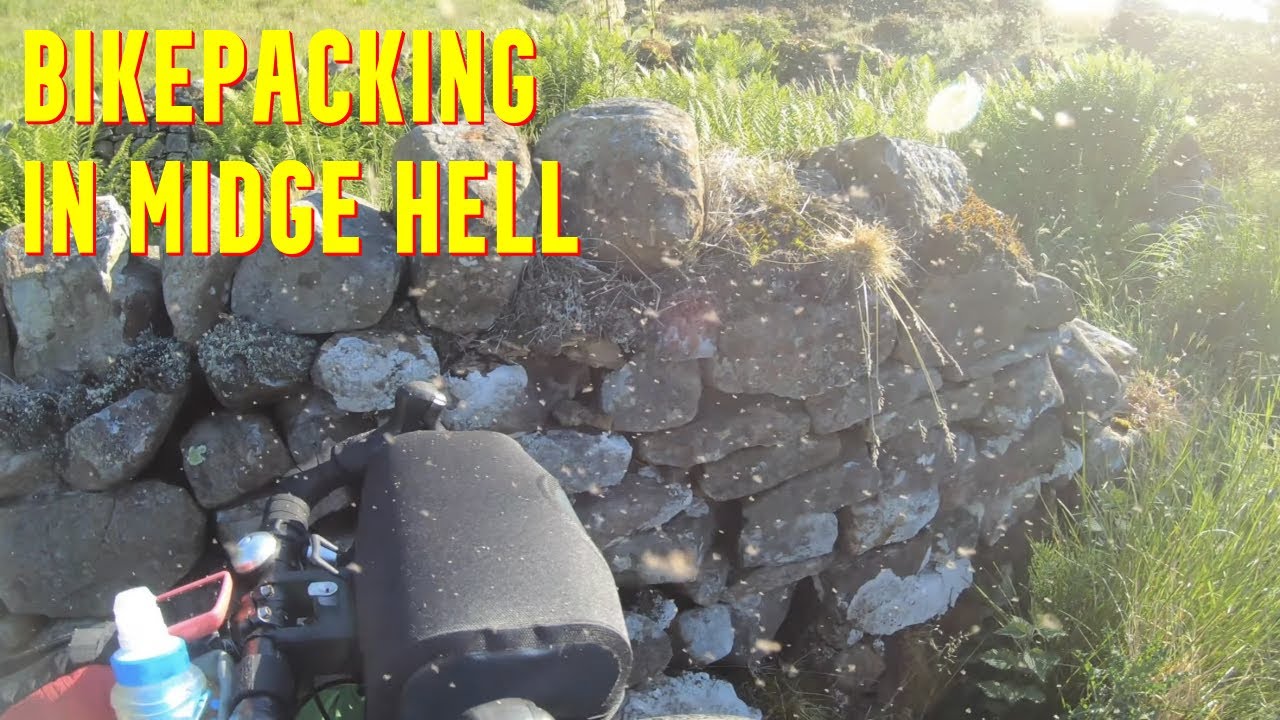 #Велотуризм