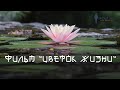 Дмитрий Хара. Фильм - Цветок жизни | март 2020 | Камбоджа