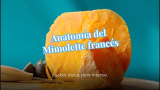 Anatomía del queso Mimolette