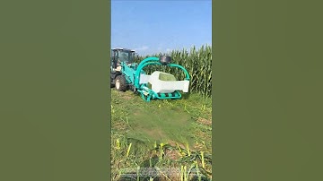 The whole process of field operation of fully automatic silage baler