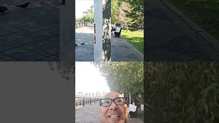 Чудо посреди тротуара