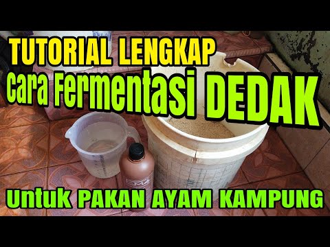 Video: Cara Menggunakan Dedak