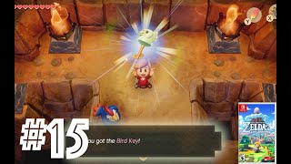 Link's Awakening Playthrough | Bird Key Location Ep 15