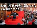 お寺で『月の光』を弾いたら、とんでもないことになった。