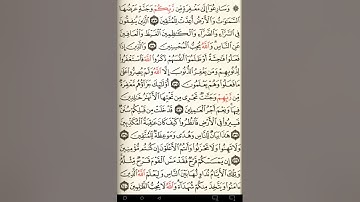 ماهر المعيقلي سورة آل عمران مكتوبة صفحة 67 مصحف المدينة المنورة جودة عالية