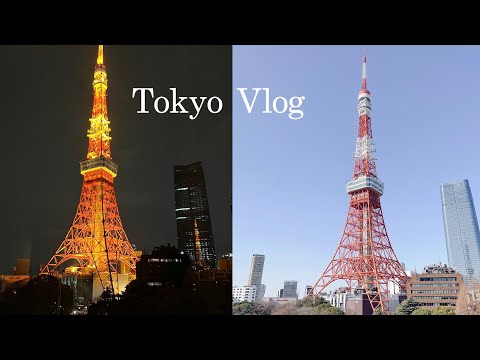 [🇯🇵 vlog] Tokyo vlog | 도쿄+하코네 3박4일 | 긴자 랑게츠 | 하코네 코와키엔 텐유 가이세키 | 후지산 | 시부야스카이 | 와타라세 이자카야