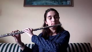 Download Lagu Wind of Change (Scorpions) flute cover MP3