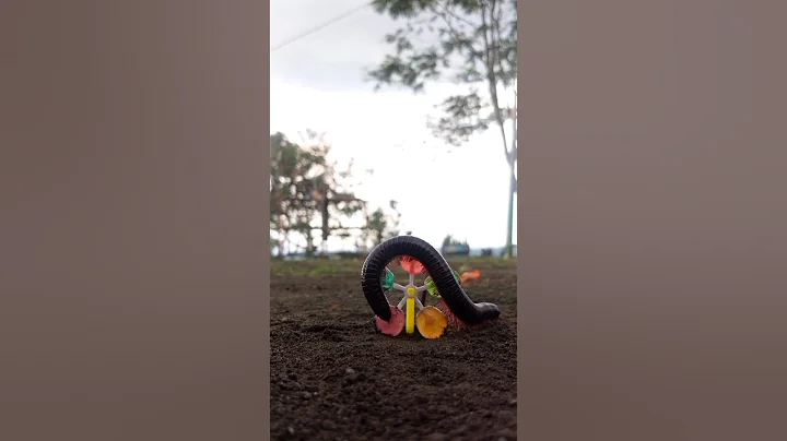 Cute Giant African Pill Millipedes#shortvideo #pillmillipede #shorts