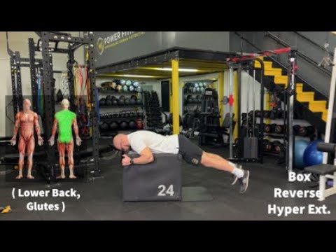 Box Reverse Hyper Extension