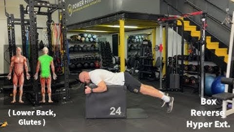 Box Reverse Hyper Extension