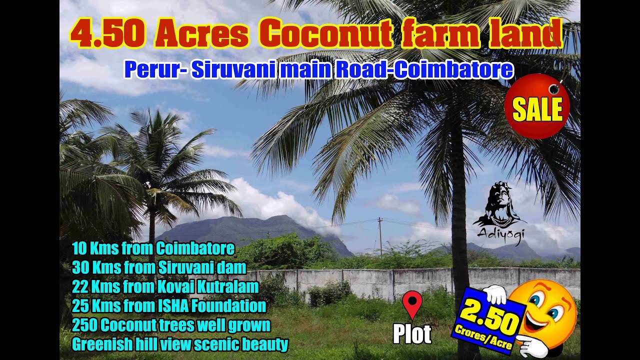 4.50 Acres Coconut farm land at Perur near Siruvani main Road