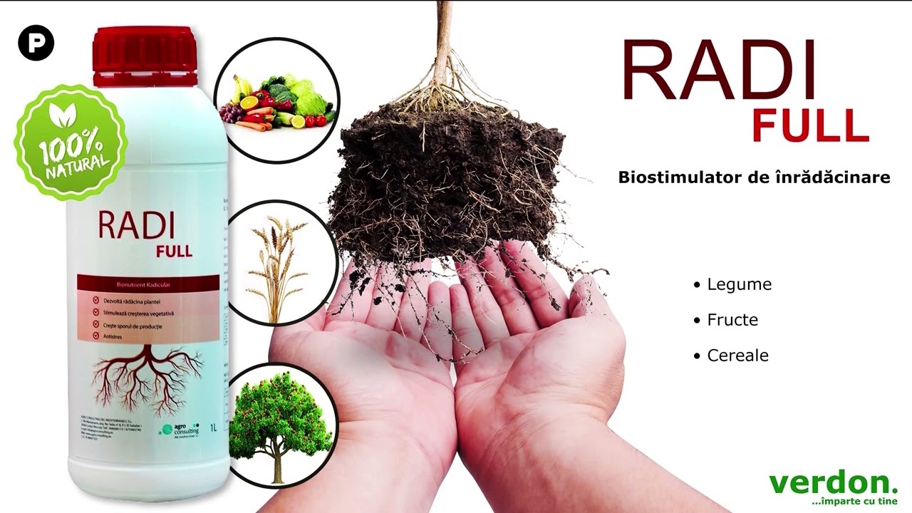 VIDEO Dr. Ing. Horia Ghibu - Tratament pentru dezvoltarea rădăcinilor la legume, fructe și cereale 1 VIDEO Dr. Ing. Horia Ghibu - Tratament pentru dezvoltarea rădăcinilor la legume, fructe și cereale YouTube player