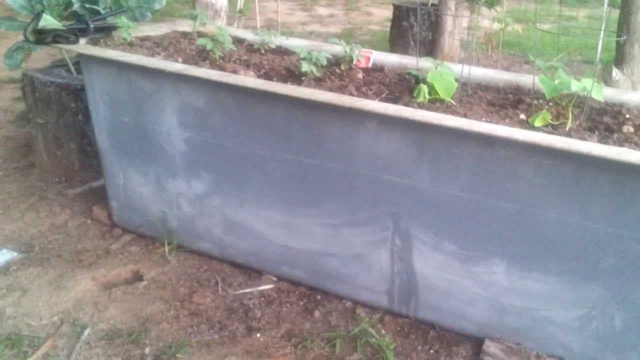 Raised Bed Veggy Garden (waist high) Home grown garden. YouTube