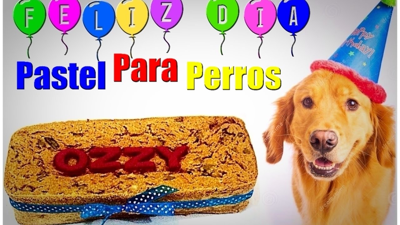 Torta de cumpleaños para perros