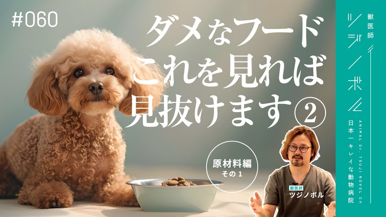 【深堀り】当てはまったら危険！原材料でわかるダメなフードの特徴【獣医師ツジノボル】