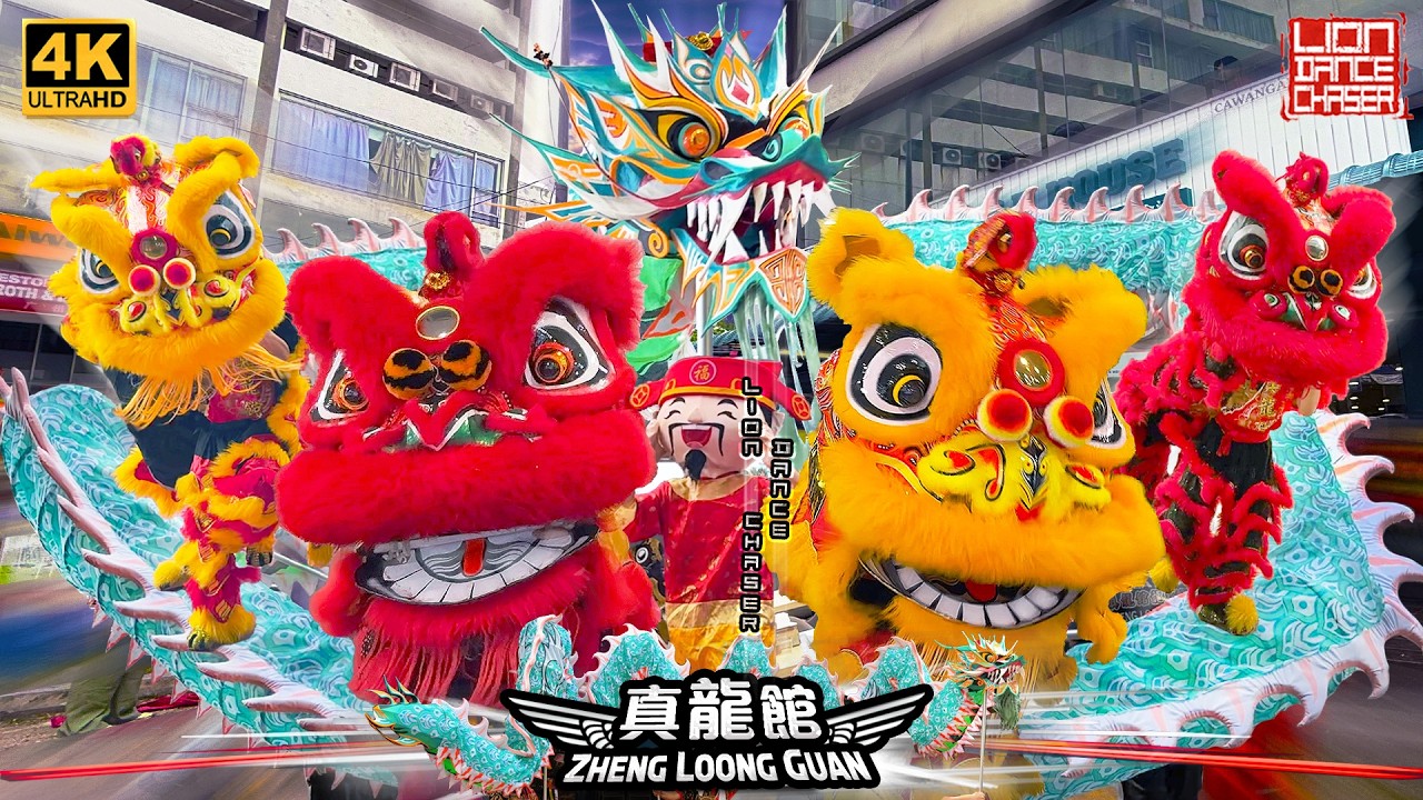 Lion & Dragon Dance 鸿旺萌狮天降真龙舞狮贺庆舞龙献珠| Lion Dance