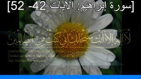سورة إبراهيم الآيات 42  52