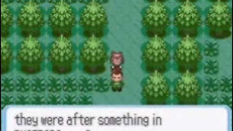 Pokémon Ruby Speed Run Segment 3 Part 2