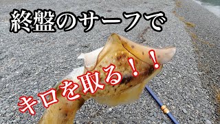 【ヤエン釣り】終盤のサーフヤエンで良いサイズ出た‼️