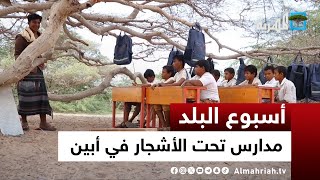 مدارس تحت الأشجار والخيام الممزقة في أبين | أسبوع البلد