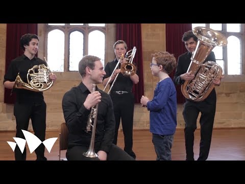 Video: Unde cântă orchestrele?