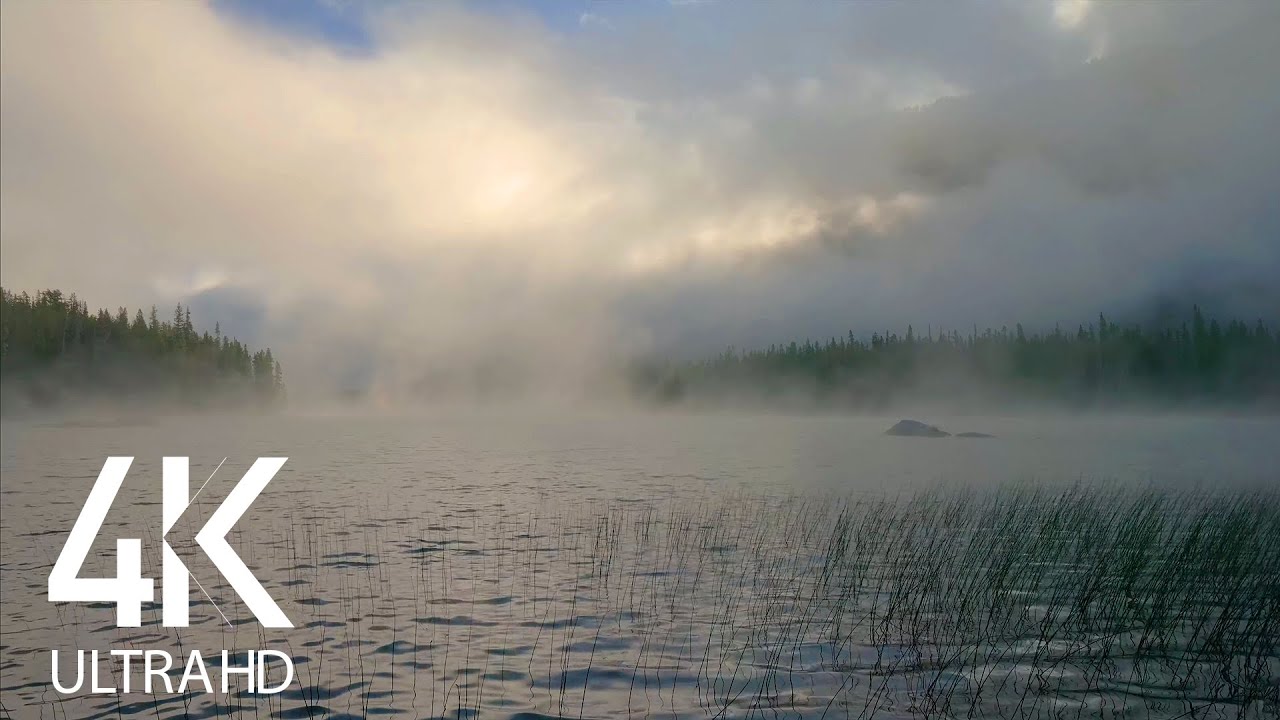 watershed Birds Chirping & Water Sounds - Gentle Lake & Mountains - 10 HOURS of Nature Sounds