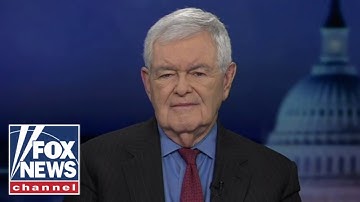 Newt Gingrich: The Democrats went nuts