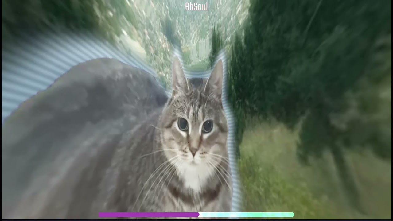 Say Goodbye (Lodoni) x UIA CAT | Full Beat