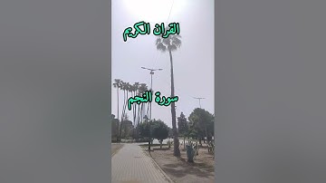 القران الكريم ، سورة النجم ، القارئ محمد الجابري الحياني