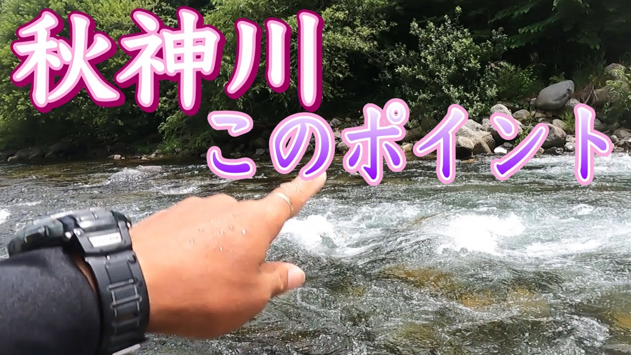 岐阜の河川がどこも増水だったので秋神川に行きました