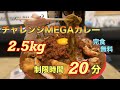 #78【フジヤマドラゴンカレー】チャレンジMEGAカレー2,500g！制限時間は20分⏰早食い苦手な人がチャレンジすると何分で完食出来る？？　【秋葉原】
