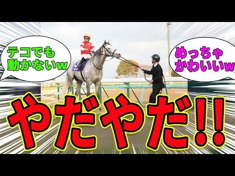 [Horse Refusal] No way! Everyone's reactions to the cute tantrum horse lol [Horse Racing Reactions]