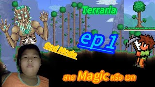 Terraria สายเวท ep 1 (God Mode)