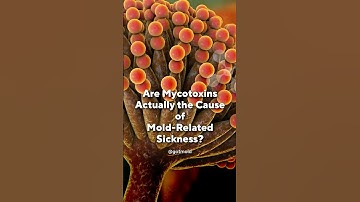 Why Mold Sickness Isn’t About Mycotoxins (Most of the Time)