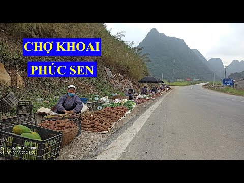 Video Chợ 