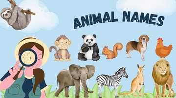 Animals for kids to learn | English Vocabulary | Con gì đây?| Bé học các con vật trong Tiếng Anh.