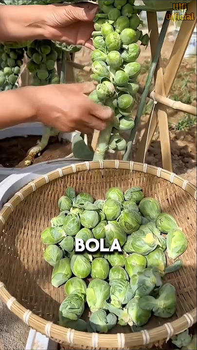 Unique Brussels Sprouts #shorts
